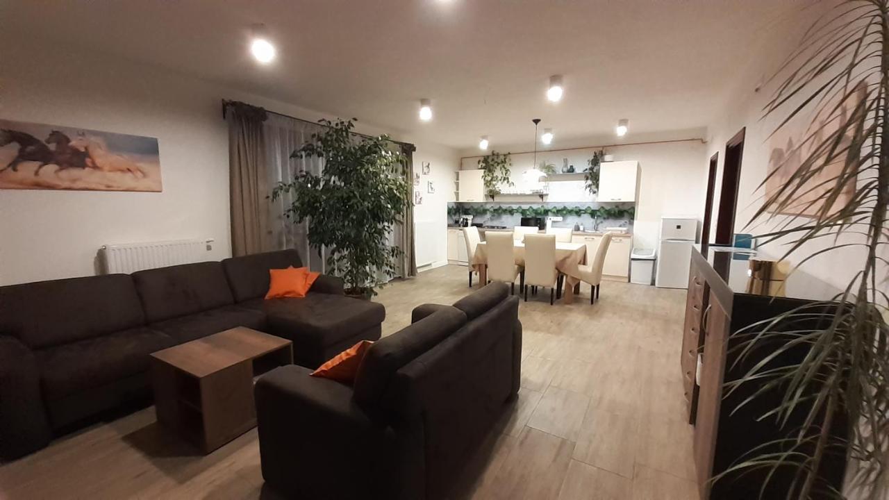 Bibic Apartman A Kapolnasnyek Kültér fotó